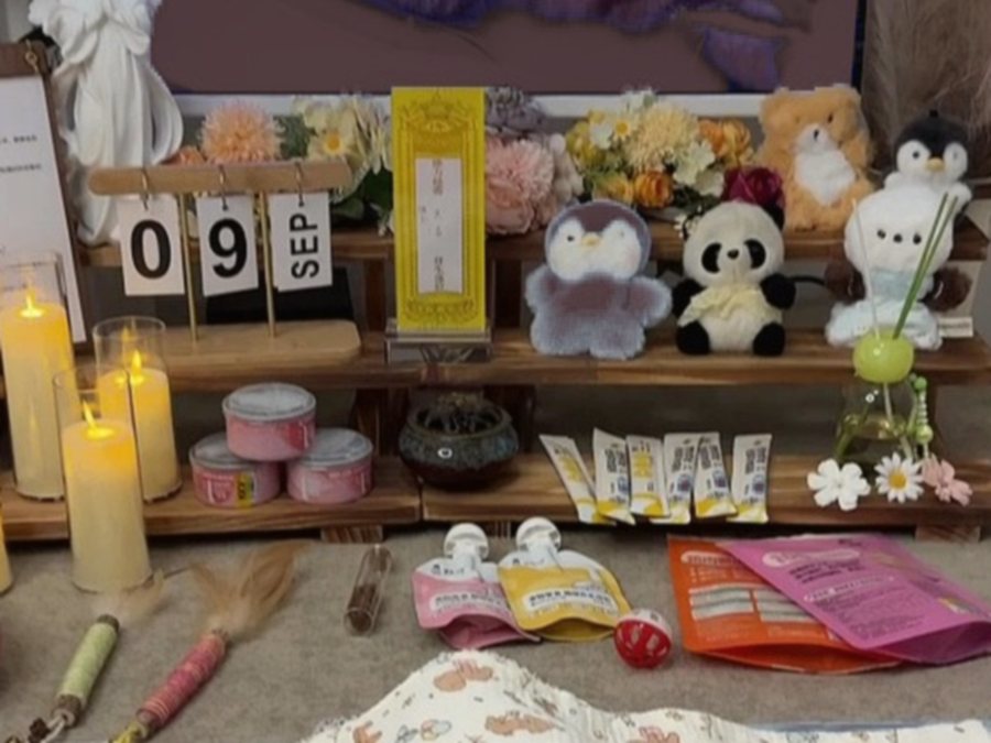 双手轻托猫咪 paws 的温暖瞬间